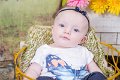 Elwood, Harper_ rm B-1804